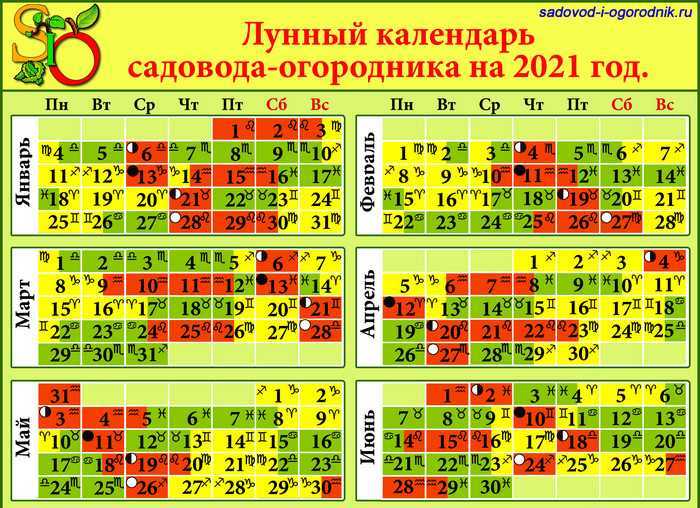 Благоприятные дни в 2024 году для посадки деревьев и цветов по лунному календарю: таблица по месяцам