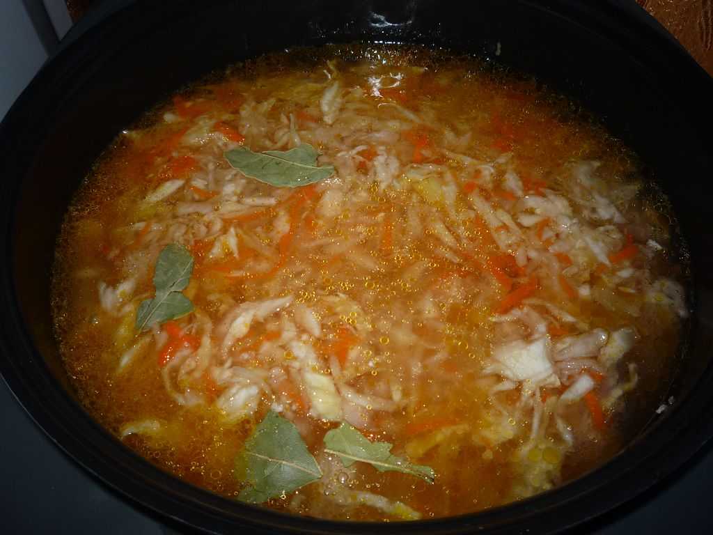 Щи из свежей капусты – классические пошаговые рецепты