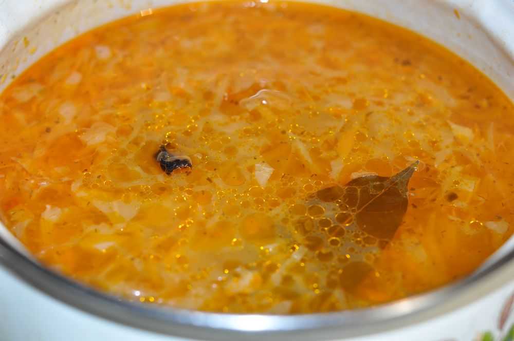 Щи из свежей капусты – пошаговые рецепты приготовления с фото