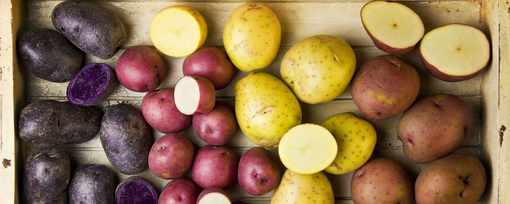 Лучшие сорта картофеля на 2024 год: самые вкусные и урожайные