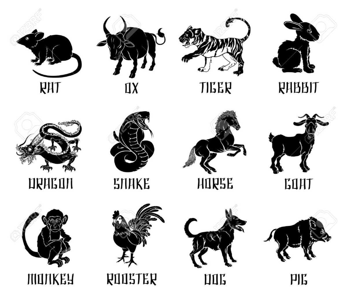 Какая порода собак подходит вам по знаку зодиака? | кто?что?где?