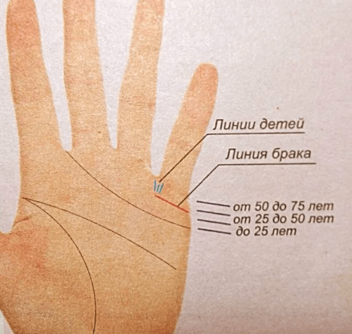 Гадание по руке ладони самостоятельно