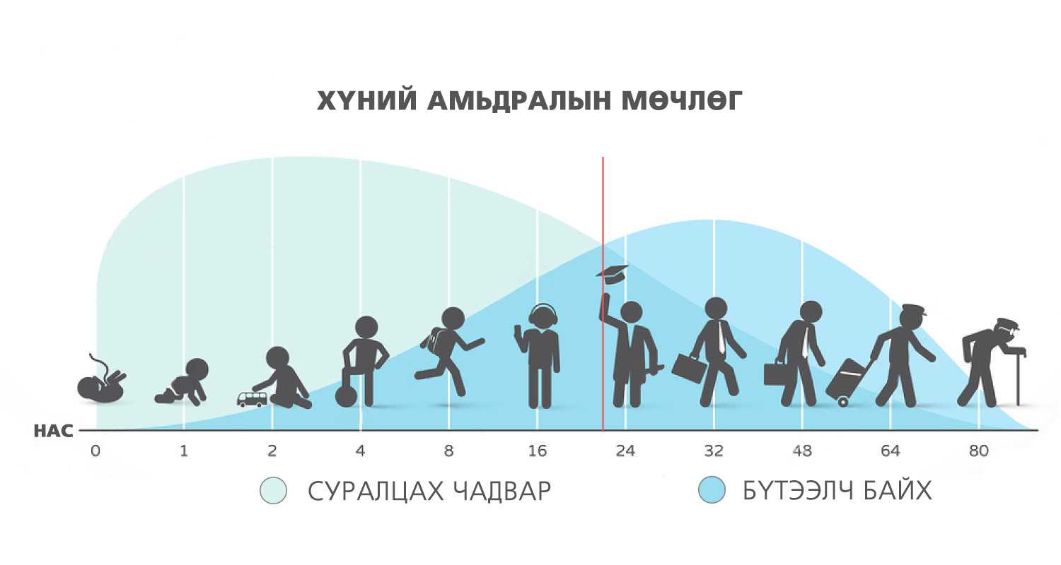 Каждый из нас проживает 9 циклов жизни: на каком цикле вы, и что он вам сулит :: инфониак
