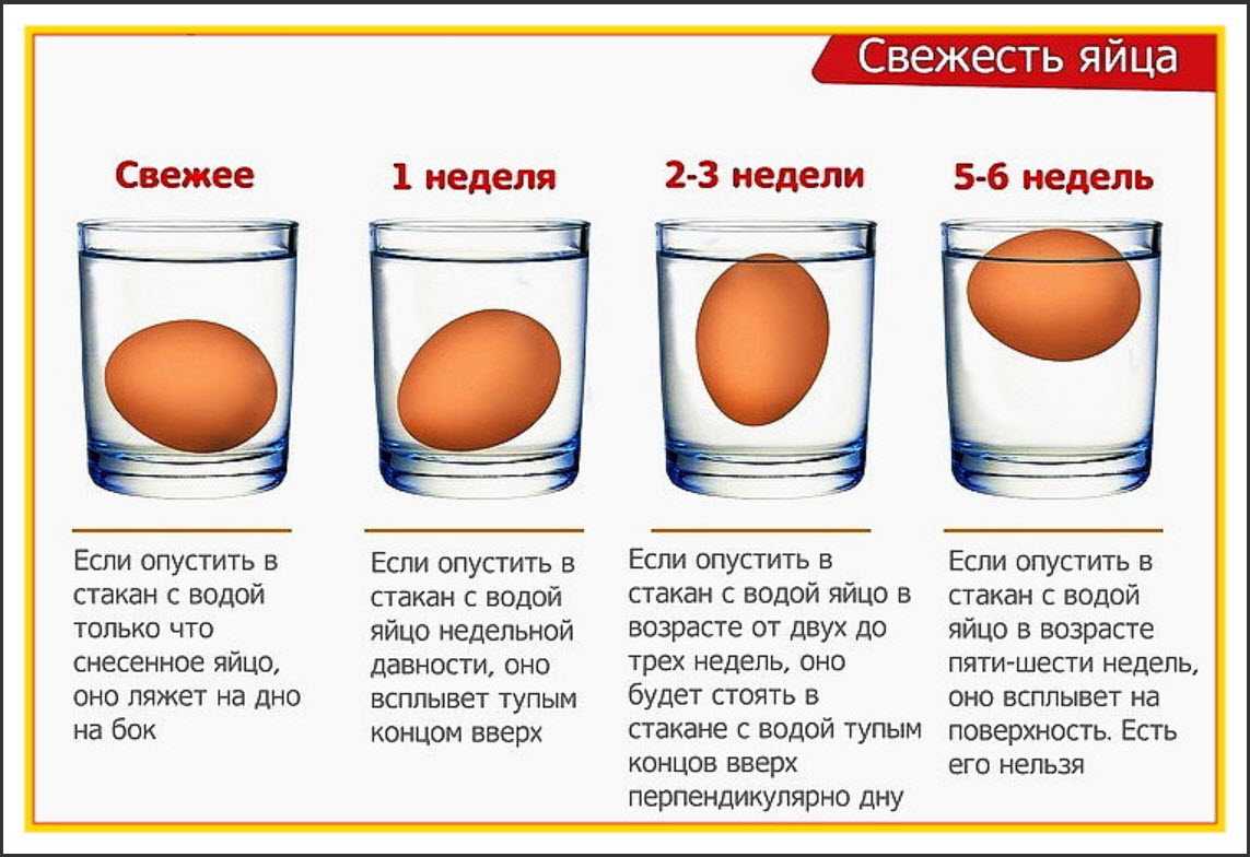 Как хранить яйца куриные в домашних условиях: где, как и сколько