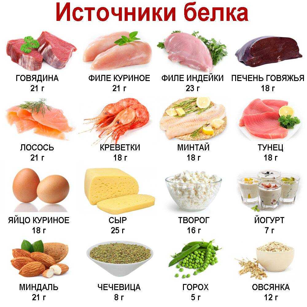 Растительный белок: содержание в продуктах и польза для здоровья