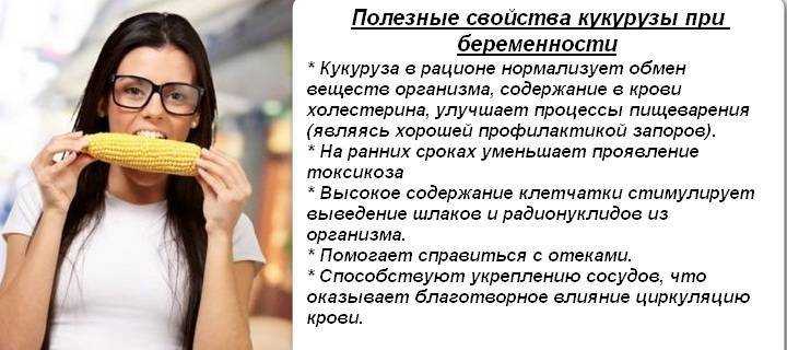 Полезна ли кукуруза: свойства, вещества, сколько можно, рецепты