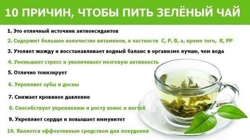 5 рецептов зеленого чая при похудении: рекомендации и противопоказания
