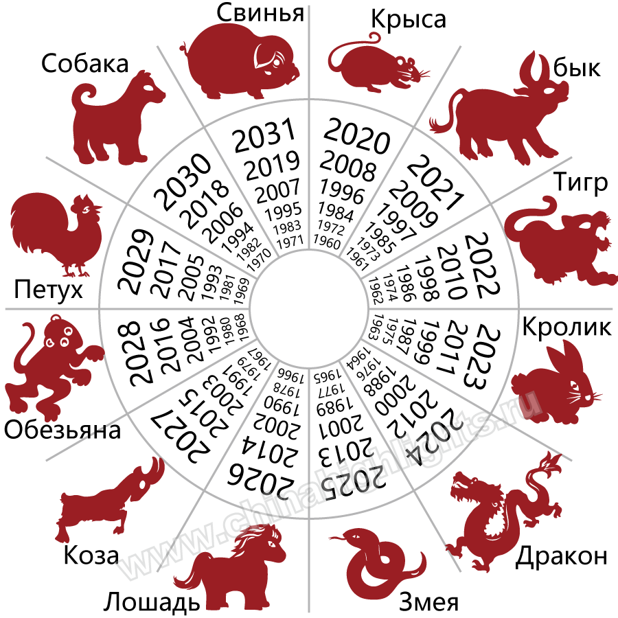 Гороскоп на 2024 год для дракона – астрологический прогноз на год дракона