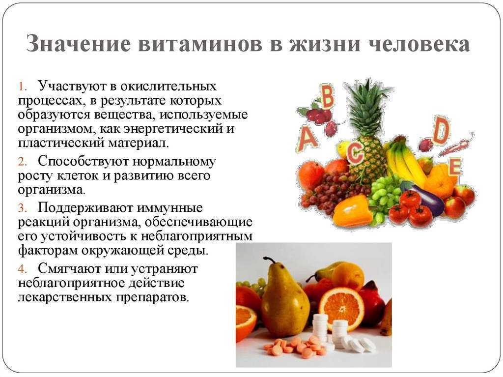 Грейпфрут: польза и вред для здоровья человека