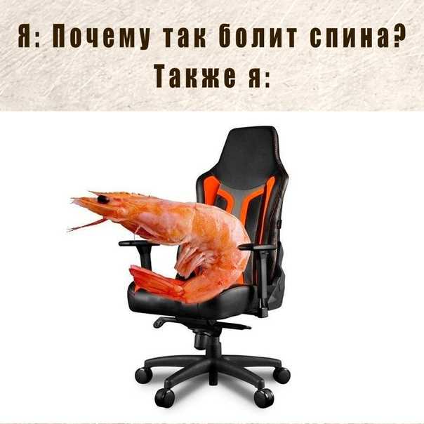 Прикольные картинки с надписями для ватсапа