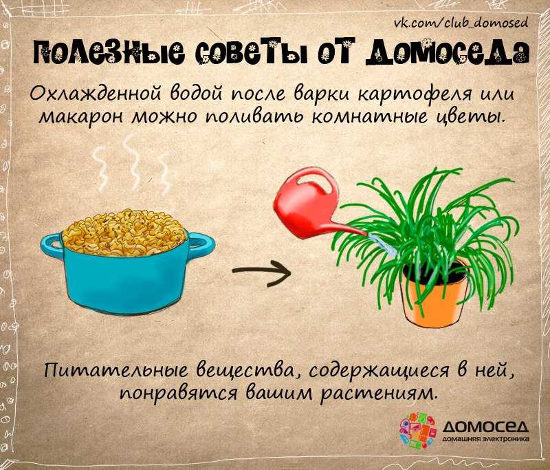 Как реагировать на провокации? и правила общения с токсичными людьми – все психологи
