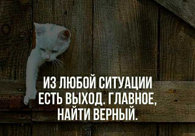 Скандалы, интриги, расследования: как бороться с офисными сплетнями?