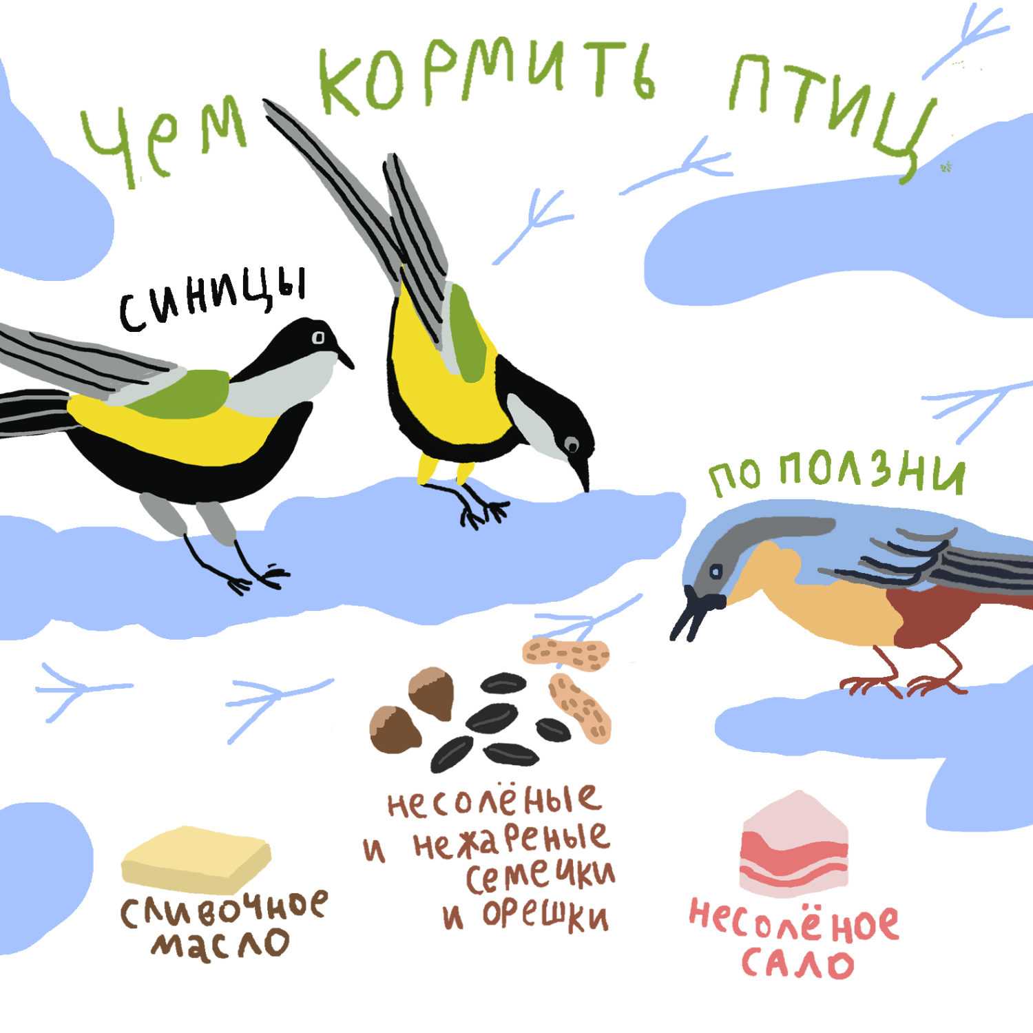 Питание птиц