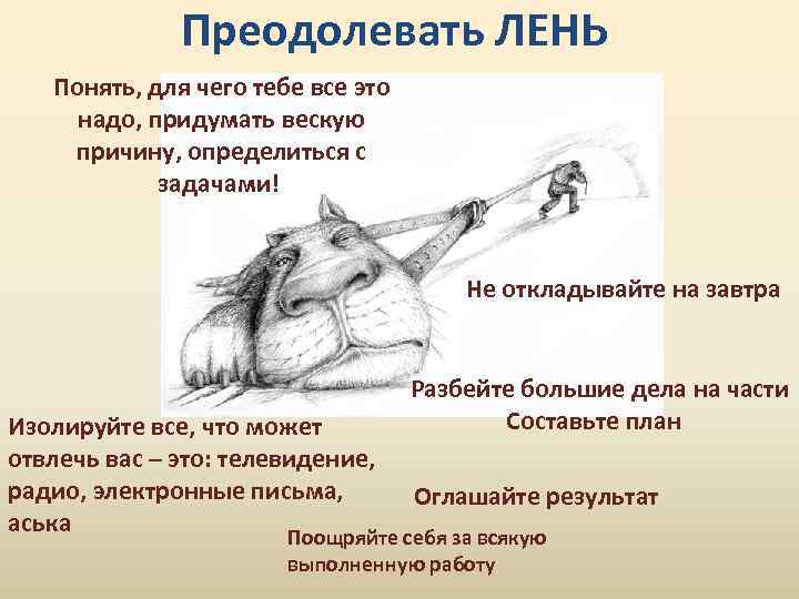 Если ничего не хочется: полезные советы, как поднять настроение