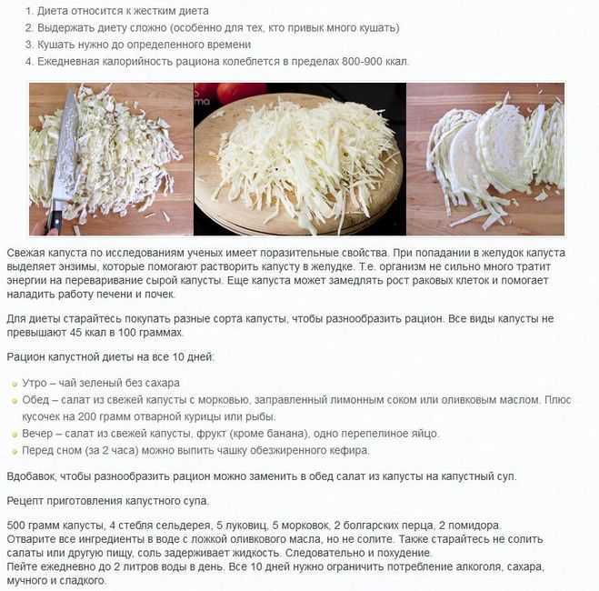 Диета на квашеной капусте, узнайте, можно ли есть квашеную капусту при диете?