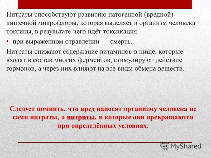 Исследование продукции растениеводства на наличие нитратов и их влияния на здоровье человека