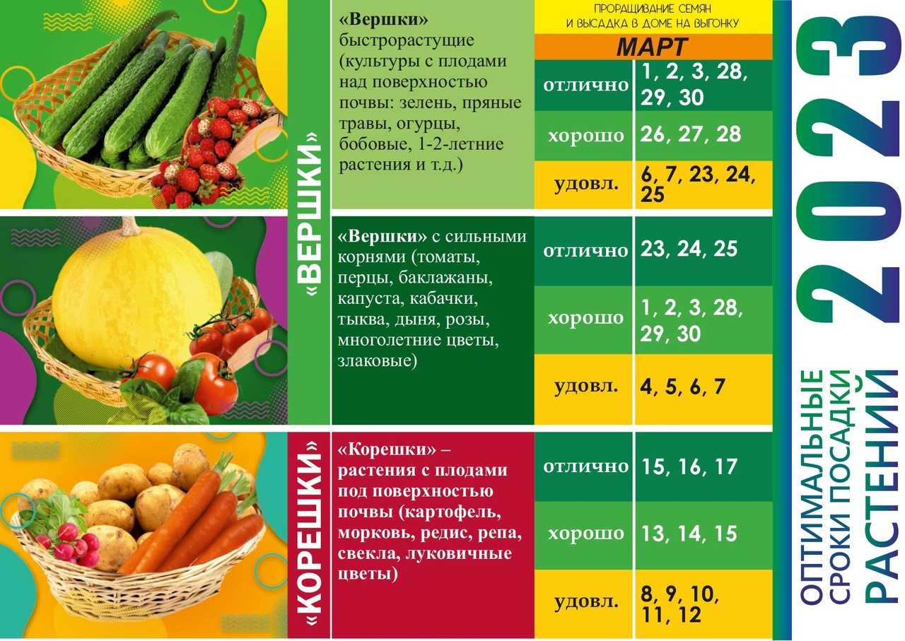 Лунный календарь огородника и садовода на 2024 год — мир космоса
