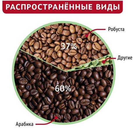 Сорта кофе.  лучшие сорта кофе. как выбирать сорта кофе описание  сортов кофе.