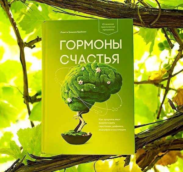 Серотонин — что это, как повысить / skillbox media