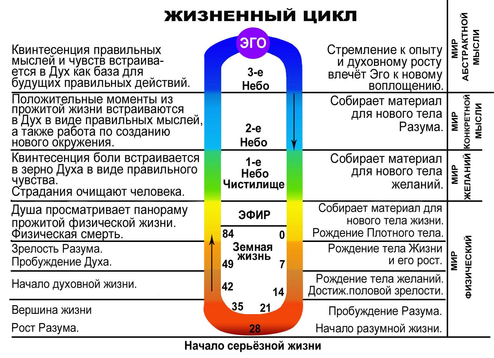 Циклы в жизни человека. часть 2 | эзотерика и гадания, totem by vasilisa taro