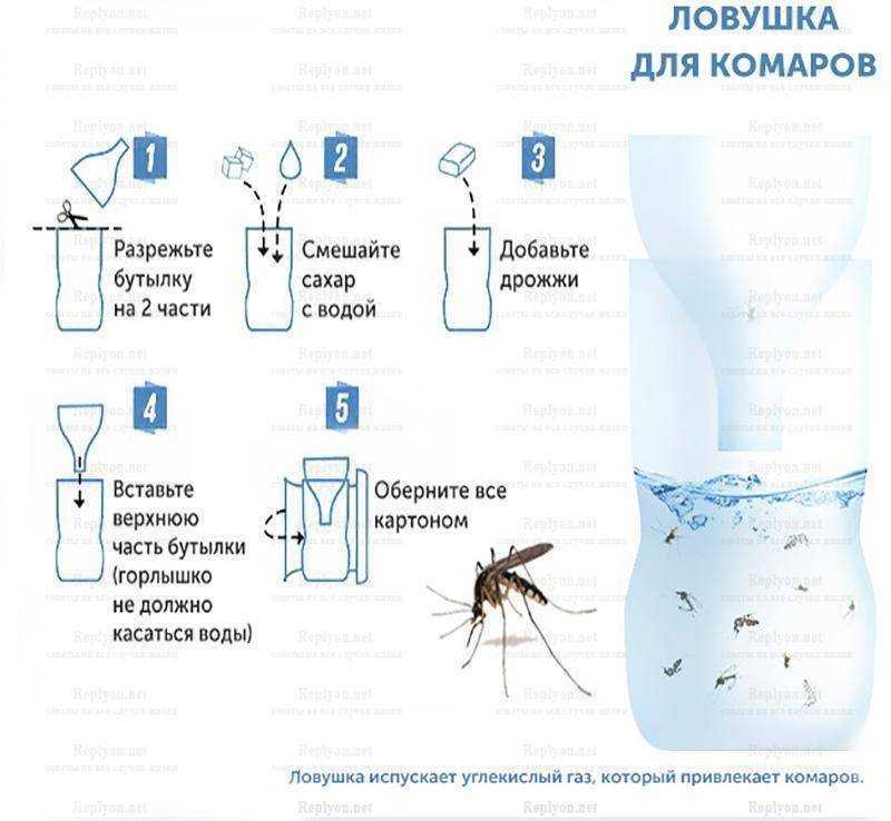 Избавляемся от мошек в квартире раз и навсегда