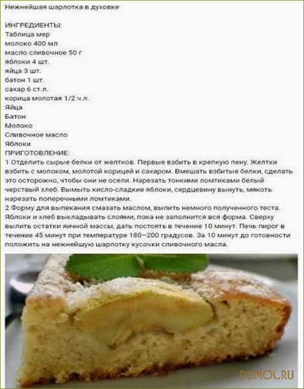 Классическая пышная шарлотка с яблоками в духовке - 10 простых пошаговых рецептов