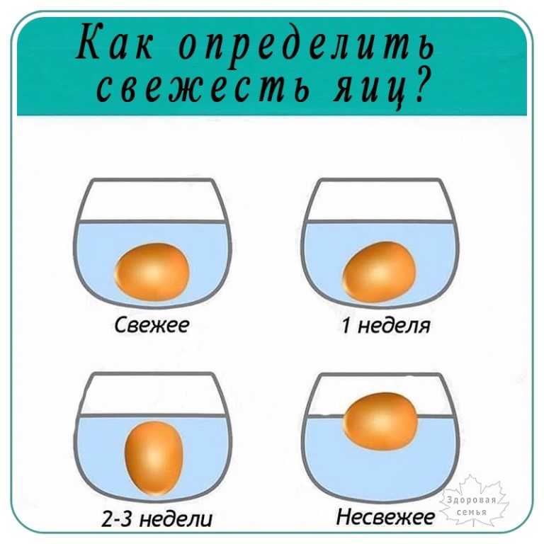 Cрок годности яиц: вареных, куриных, в холодильнике сырых, перепелиных, домашних | срок годности