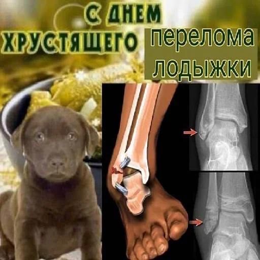 Прикольные открытки и картинки с днём отца скачать бесплатно