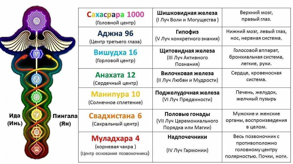 Что такое чакры на самом деле: важная информация, о которой вы не знали :: инфониак