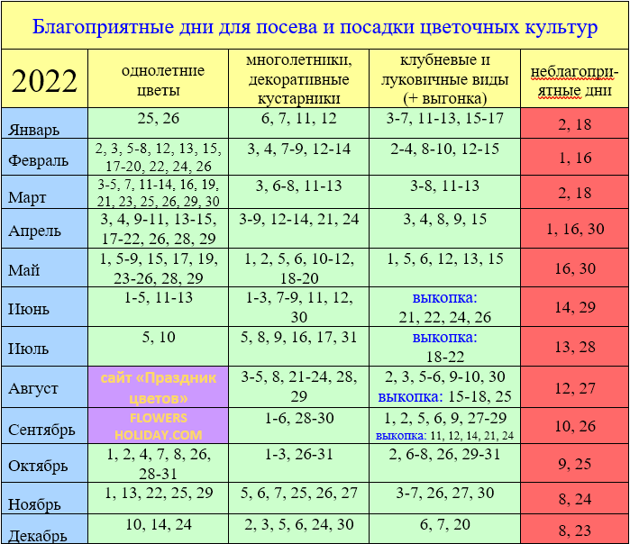 Удачность дня: персональное вычисление по дате рождения, точный расчёт для каждого
