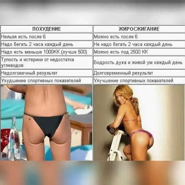 Что можно и нужно есть до и после тренировки в тренажерном зале?