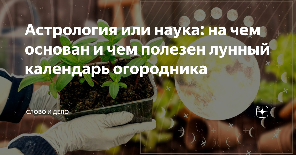 В статье расскажем почему нужно ориентироваться на положение Луны на небе в какие дни нужно сажать огородные культуры чтобы получить богатый урожай на зависть соседям по даче