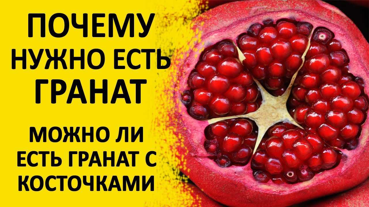 Гранат польза для организма человека и вред для здоровья