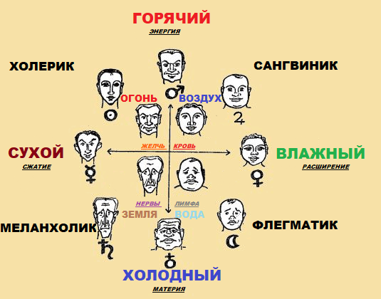 Знаменитые овны