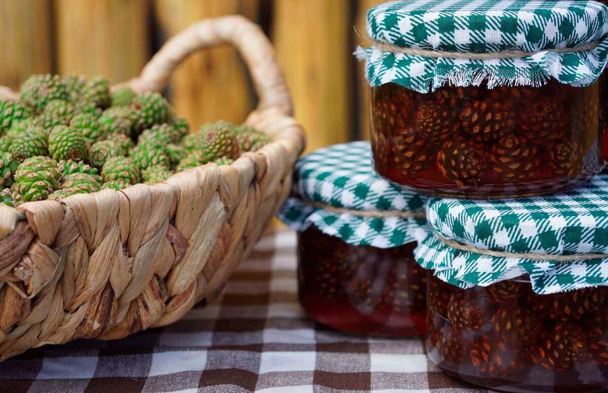20 рецептов очень вкусного варенья из сосновых шишек