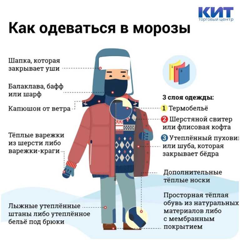 Пальто на синтепоне - осень-зима 2024/2025, фото модных вариантов