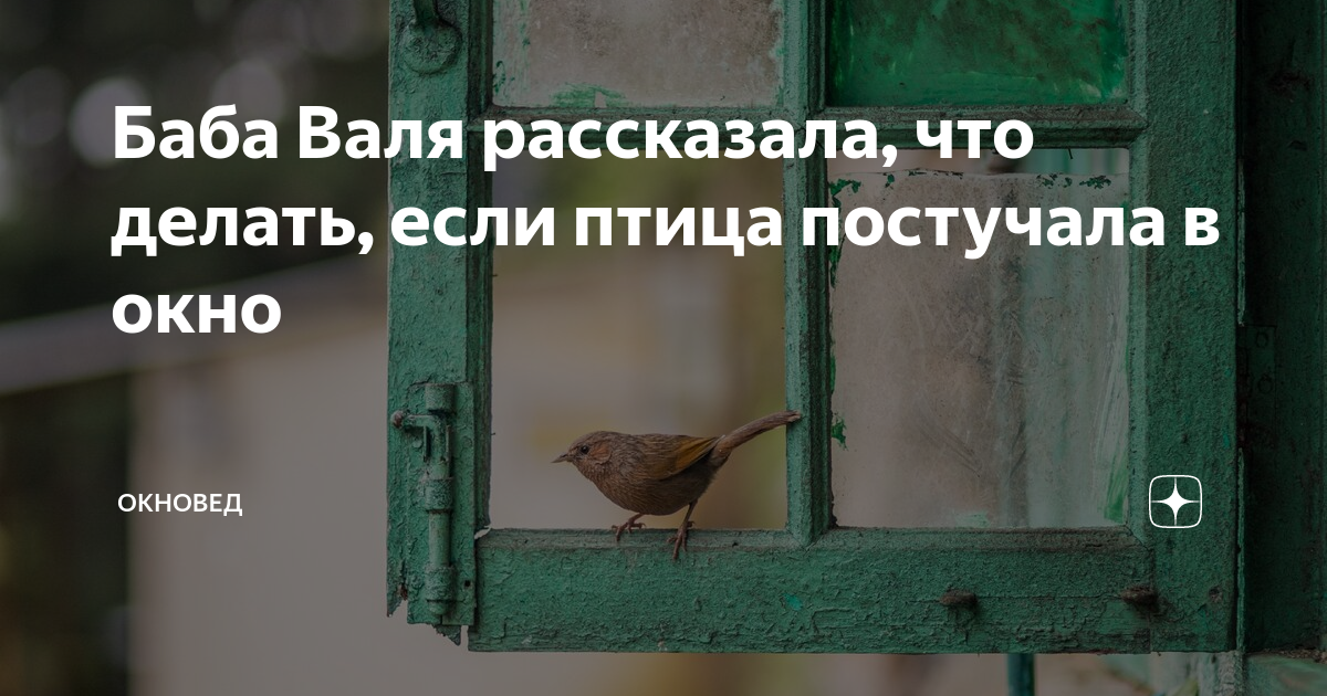 Птица врезалась в окно и улетела - народная примета