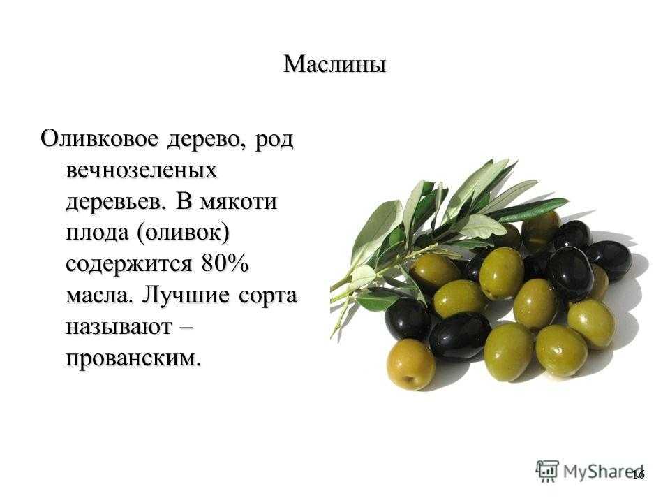 Основные отличия оливок от маслин: польза, вред и с чем их подавать