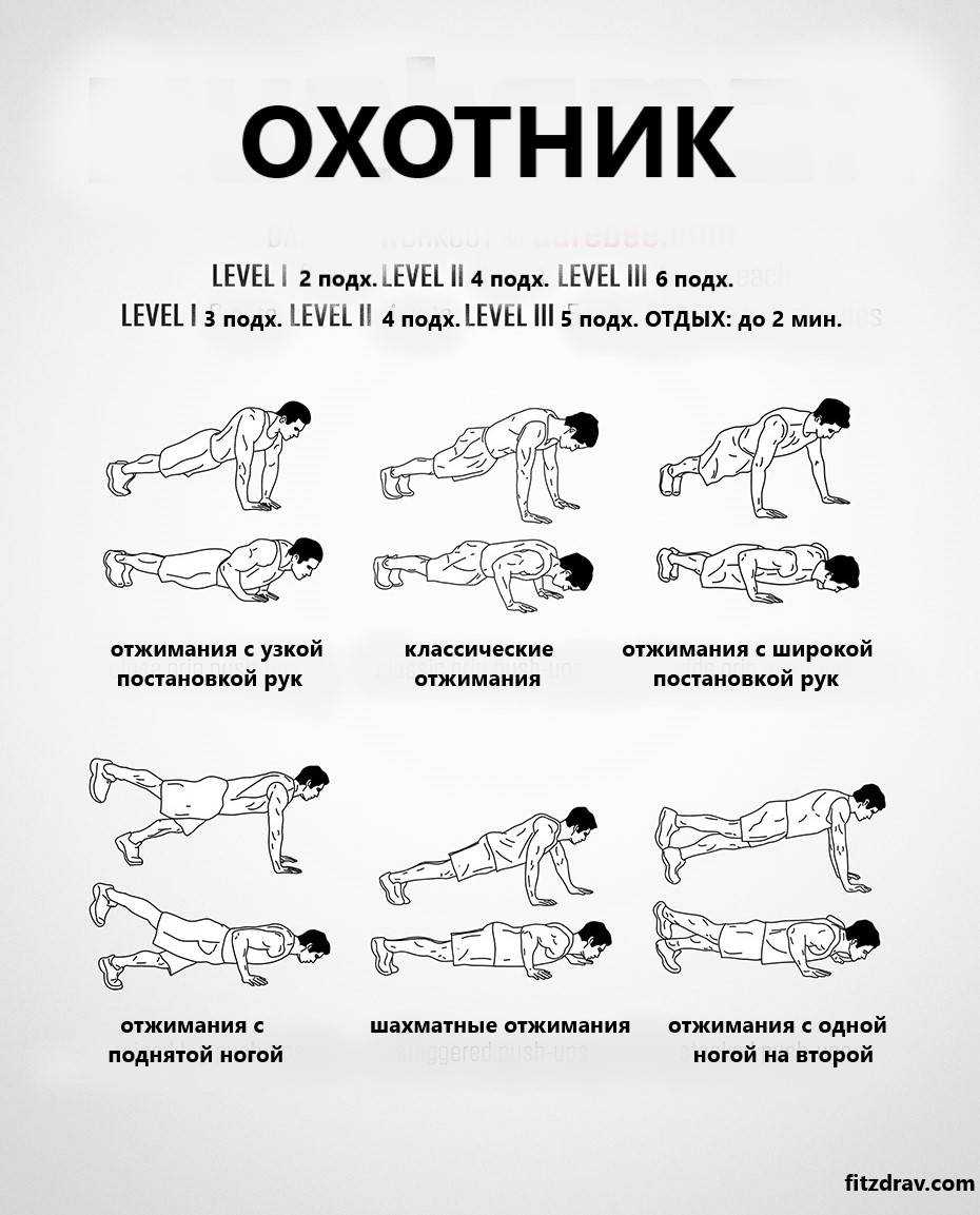 Отжимания от пола. как правильно отжиматься.