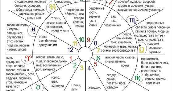 Дома в астрологии – все, что нужно знать - блог астромикс