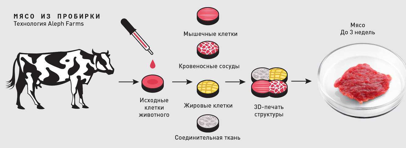 Как приготовить котлеты из мясного фарша