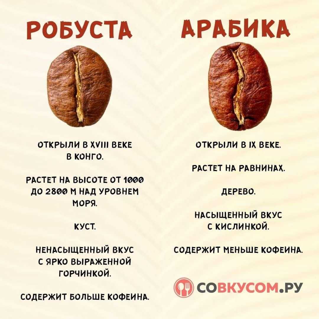 Кофе с кислинкой сорт