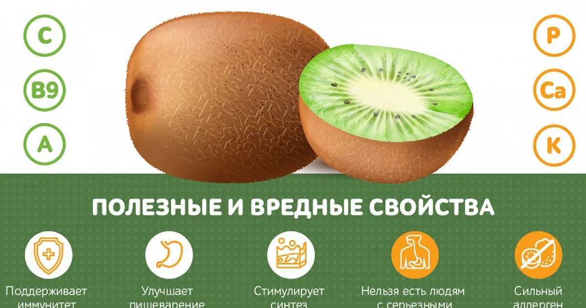 Киви с кожурой – можно ли есть и какая польза