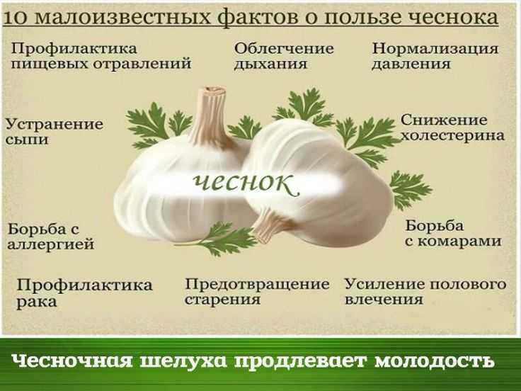 Как правильно есть чеснок для получения максимальной пользы: в каком виде, во сколько лучше всего и в каком количестве, а также может ли быть негатив?