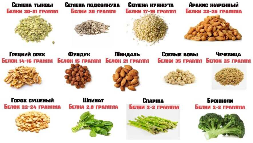 Где содержится белок — кроме мяса? список продуктов с % усвоения белка