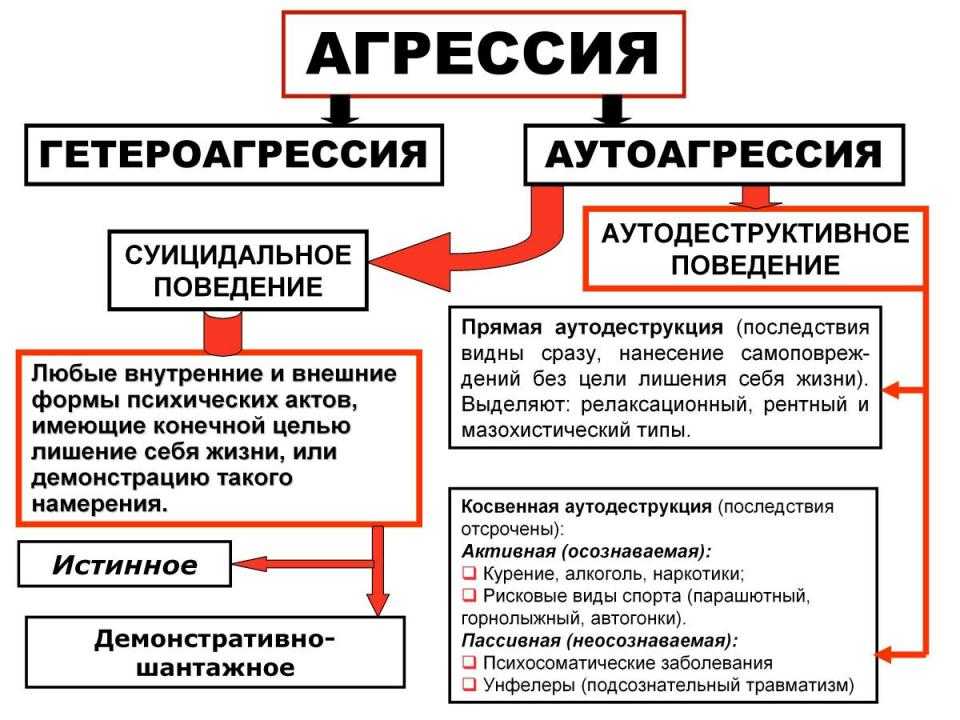 Аутоагрессия. симптомы, причины и профилактика аутоагрессии