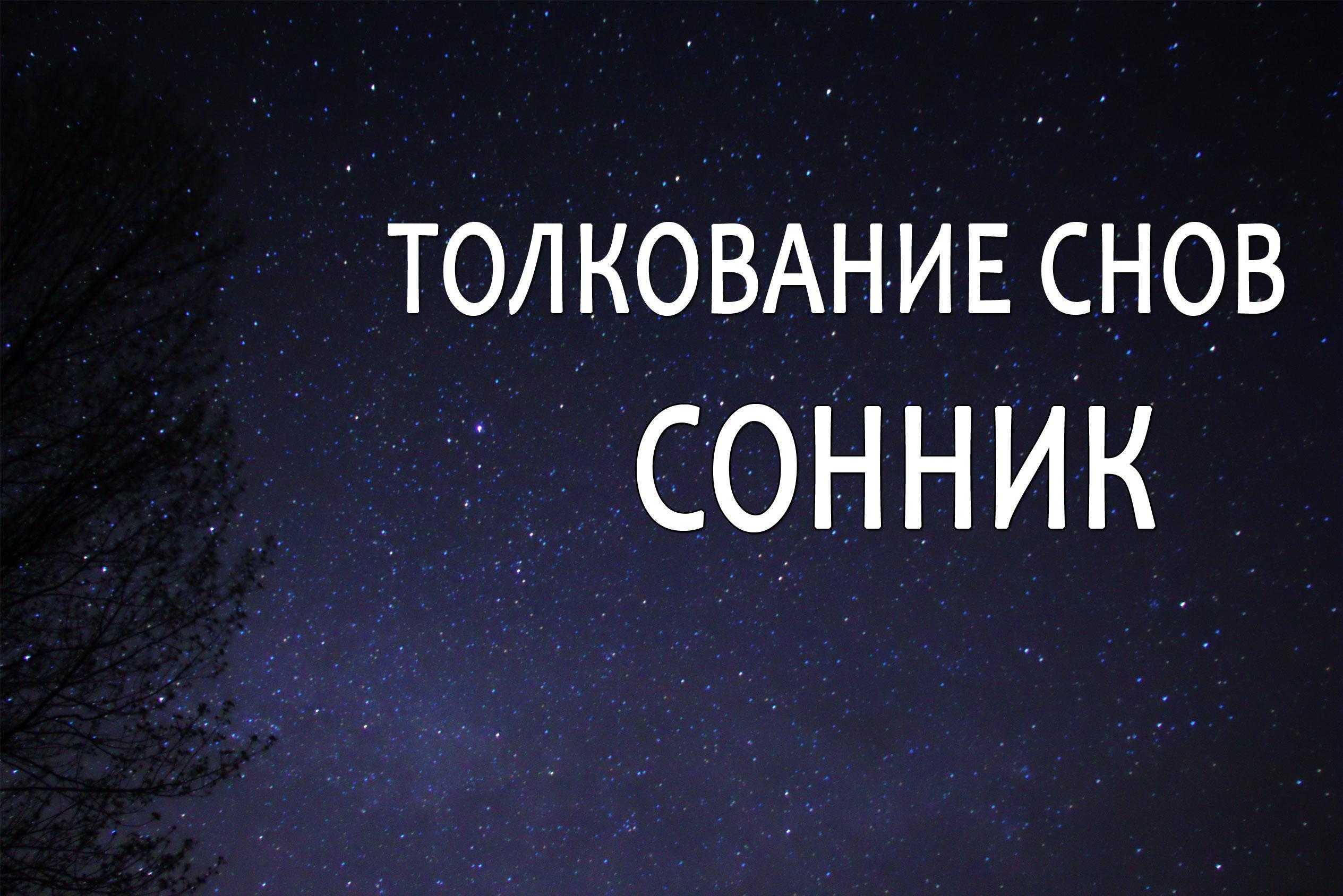К чему снятся живые цветы. сонник -живые цветы приснились.