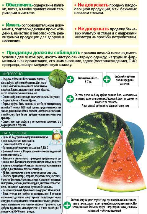 Можно ли есть арбуз при грудном вскармливании