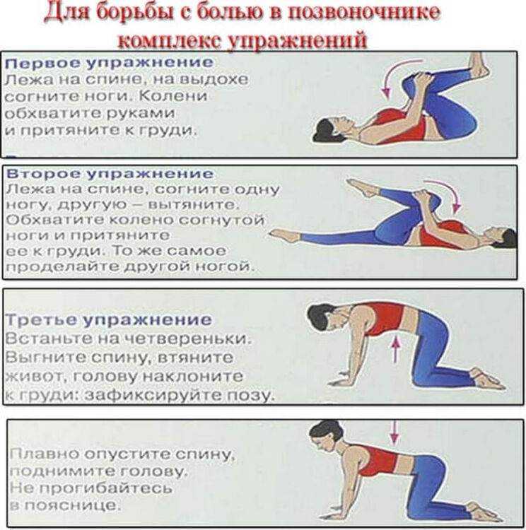 Упражнения для растяжки позвоночника в домашних условиях