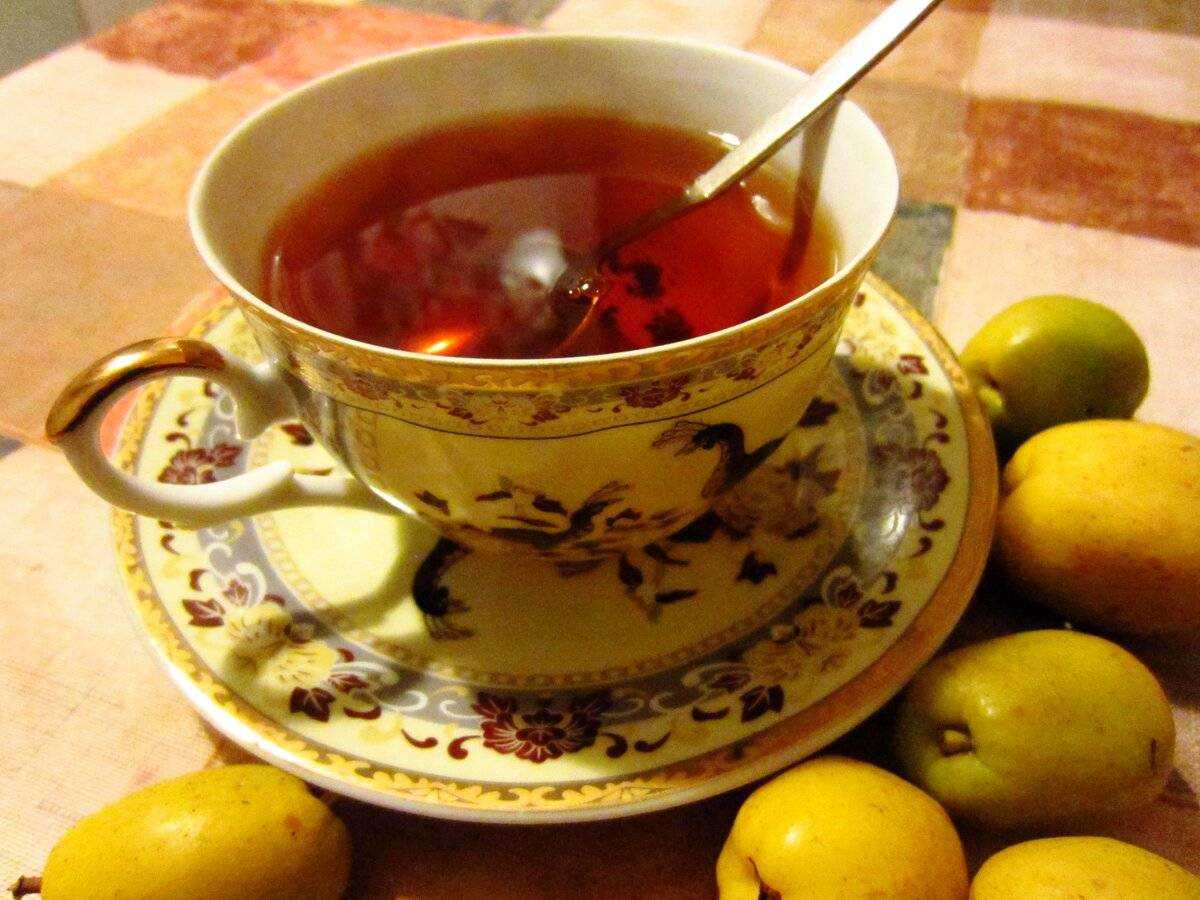Лечебные свойства кустарника японская айва: фото и целебные качества для здоровья от плодов, листьев, семян, возможный вред, противопоказания
